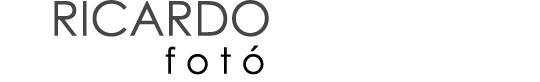 Ricardo Zamanillo logo